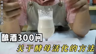 酿酒300问-酿酒酵母为什么要活化？活化后的有什么形态上的改变？