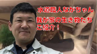 【水道職人ながちゃん】我が家の生き物たちをご紹介！