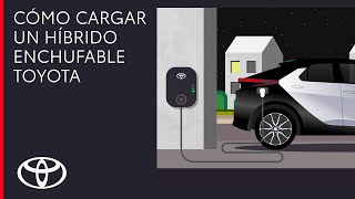 Descubre cómo cargar un híbrido enchufable