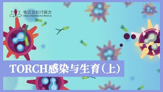 TORCH感染与生育（上）