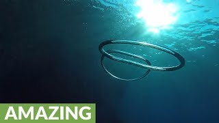 Mesmerizing underwater bubble ring art