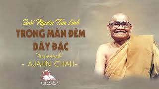 24. Trong Màn Đêm Dày Đặc | Suối Nguồn Tâm Linh - Thiền Sư Ajahn Chah