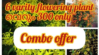 അടിപൊളി combo offer//ഡിസ് garden