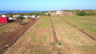 El Paraíso - Puerto Escondido - Oaxaca (Terrenos en Venta)