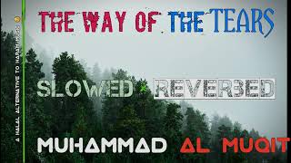 The Way Of The Tears | Nasheed | Slowed Reverved Nasheed Collection | Muhammad Al Muqit