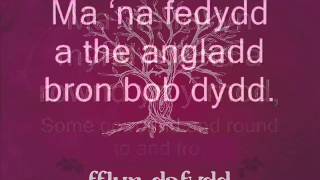 Fflur Dafydd - Rhoces