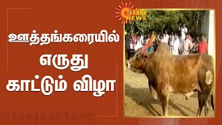 ஊத்தங்கரையில் எருது காட்டும் விழா;மக்கள் உற்சாகம் | Uthangarai