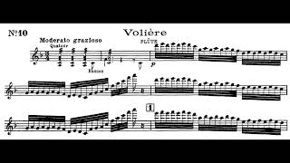 サン＝サーンス：鳥かご C.Saint-Saëns Voliere フルート神田勇哉