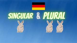 Plural & Singular in German - Deutsche Grammatik