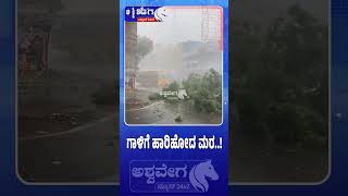 ಗಾಳಿಗೆ ಹಾರಿಹೋದ ಮರ.! | Heavy Rain Havoc | Tree Uprooted by Strong Winds