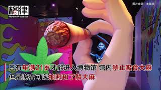 新网红拍照圣地？赌城开大麻博物馆【突发美国】