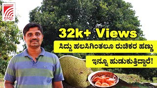 ಸಿದ್ದು ಹಲಸಿಗಿಂತಲೂ ರುಚಿಕರ ಹಣ್ಣು ಇನ್ನೂ ಹುಡುಕುತ್ತಿದ್ದಾರೆ! | Siddu Jackfruit, a Jackpot for this Farmer!