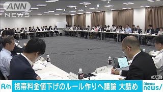 携帯料金の値下げ議論大詰め　総務省有識者会議(19/05/30)