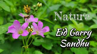 Eid | garry Sandhu ft. asim Riaz & Himanshi Khurana | Nature Yatra @Freshmediarecords