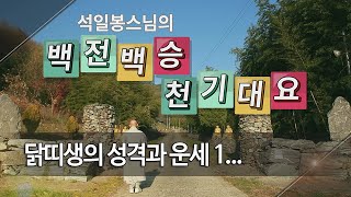 백전백승 제191회... 닭띠생의 성격과 운세 1...