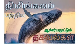 திமிங்கலம் பற்றிய ஆச்சர்யமூட்டும் தகவல்கள் (facts of blue Whale )