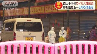 中国で原因不明のウイルス性肺炎が・・・当局はSARS否定(20/01/06)