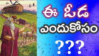 ఈ ఓడ ఎందుకోసం?