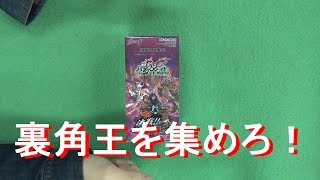 【#バディファイト】え？箱でバディレアが１枚確実って本当？！決戦!!裏角王１箱開封！