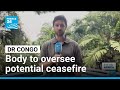 DR Congo and M23 rebels agree to create body to oversee potential ceasefire • FRANCE 24 English