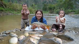 The mother and daughter's lucky day met a huge school of fish and caught fish to sell