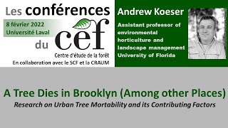 Andrew Koeser - A Tree Dies in Brooklyn (Among other Places)