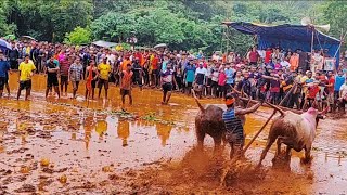 घाटी गटामधे प्रथम क्रमांकाचे मानकरी | Chikhal naangarani spardha bhambed | kokan | bhambed