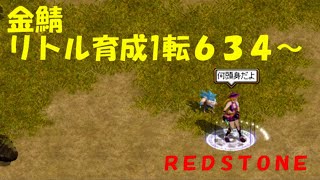 【REDSTONE】金鯖リトル育成１転６３４～