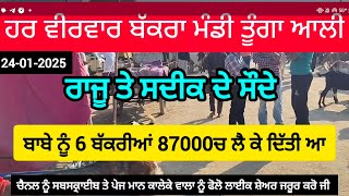 ਹਰ ਵੀਰਵਾਰ ਤੂੰਗਾ ਵਾਲੀ ਬੱਕਰਾ ਮੰਡੀ #funny #automobile #trending #comedy #shortvideo #shorts #india #yt