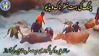 new gojri bait 2023:fareed Shaheen: beautiful gojri bait:gojri video pahari song: Pahari geet