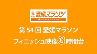 [第54回愛媛マラソン]フィニッシュ映像～3時間台～