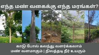 எந்த மண் வகைக்கு எந்த மரங்கள் ஏற்றது ?| மண்ணுக்கேற்ற மரங்கள்