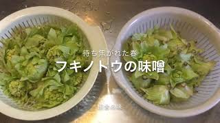 春の恵み ふき味噌