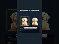 ✨ Box Shadow vs Drop Shadow Using CSS3 | Ultimate Comparison 📊💡 ||#shorts #shortsvideo #video #fyp