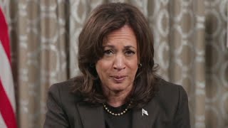 ‘Had a few sherbets’: Kamala Harris mocked after breaking silence with odd ‘word salad’ message