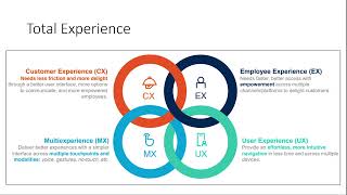 Total Experience Explained