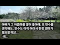 신청사연 어릴적 엄마를 잃은 후 날 친아들처럼 키워 변호사 만들어준 새어머니