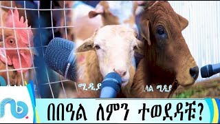 ልዩ የኢድ አል አደሀ አዝናኝ  ፕሮግራም || በበዓል ለምን ተወደዳቹ || አስቂኝ