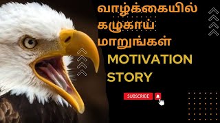 கழுகு நமக்கு சொல்லும் பாடம்#dindigul Dindigul sathish#தமிழ் #motivation