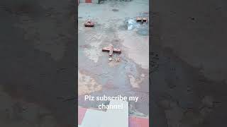 ସରିଗଲା ରଜ ଏ ଥର 😭 ଶେଷ ରଜ 😭 plz subscribe my channel 🙏