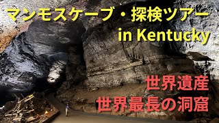 【世界遺産】世界最長・マンモスケーブ探検ツアー