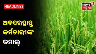 Jagatsinghpur: ଅବସରପ୍ରାପ୍ତ ସେନା କର୍ମଚାରୀଙ୍କ କମାଲ୍‌, 12 ଏକର ଜମିରେ କରିଛନ୍ତି ସୁଗାର ଫ୍ରି ଧାନ