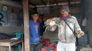 কাঁকড়ার বাজার। কাকড়ার দাম।পাইকারি কাঁকড়া বাজার crab price crab market 27-01-2024|@gobindasvlog