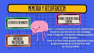 NEUROEDUCACIÓN y 5 actividades para fortalecer varias áreas como: la plasticidad cerebral.