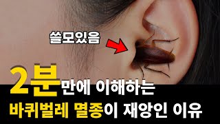 만약 바퀴벌레가 전부 멸종해버리면 어떻게 될까?