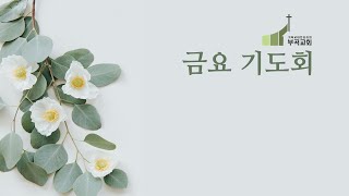 2022.02.18 부곡교회 금요기도회