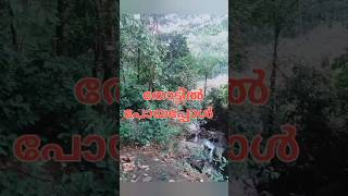 വെള്ളം കണ്ടപ്പോൾ 🤣😁 #nature #happy #viralvideo #shortsfeed #shortsviral #subscribe #water