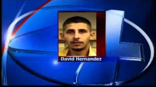 Career burglary suspect caught after chase