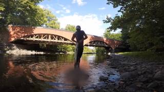 Tohickon Creek Striped Bass