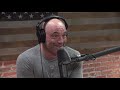Joe Rogan  Crazy Facts About Multiple Personality Disorder wChristopher Ryan
